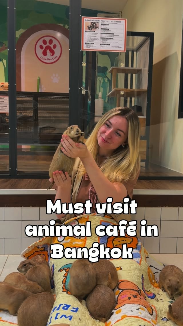 Little Den Cafe: An Exotic Animal Encounter in Bangkok