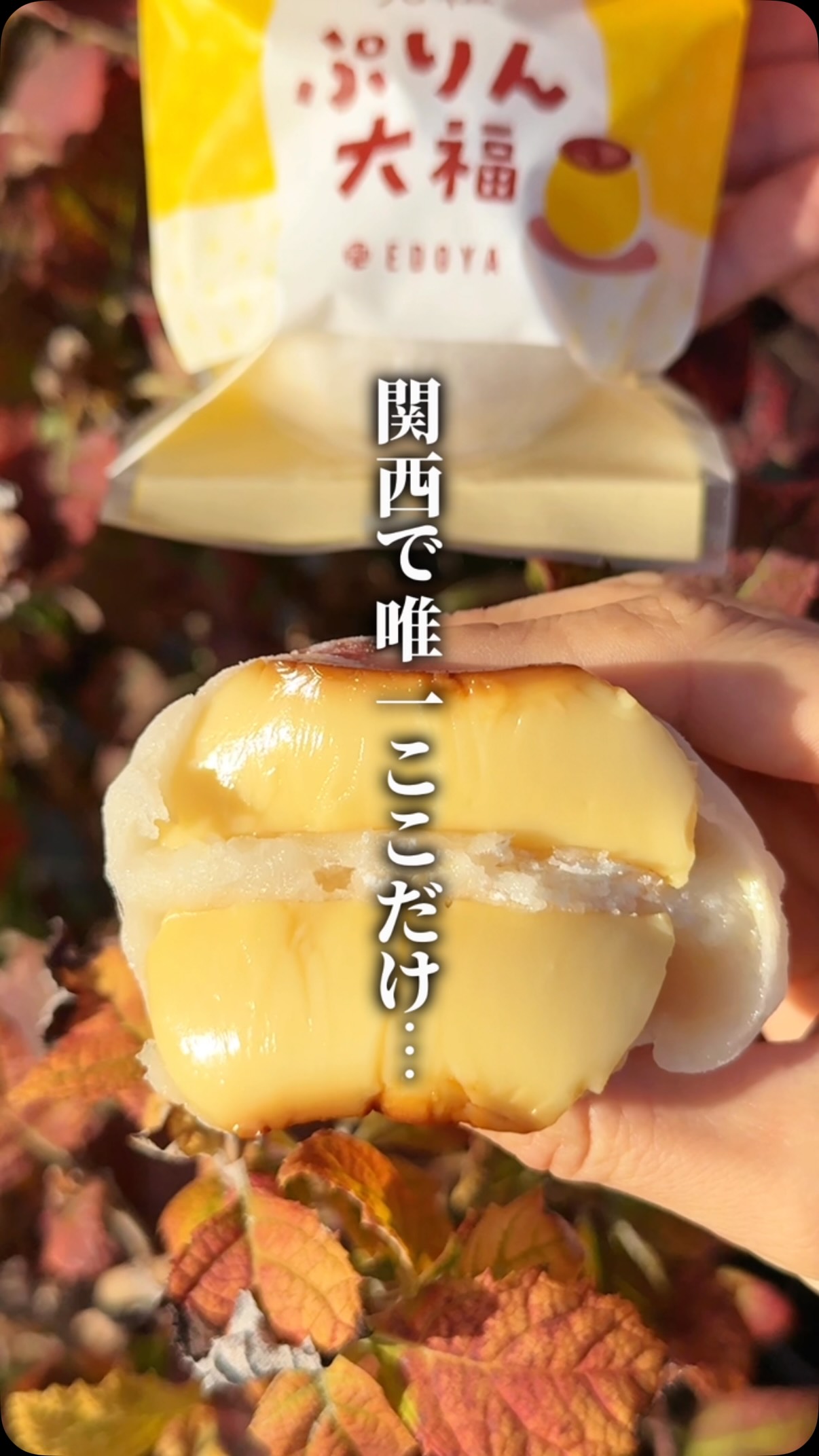 Purin Daifuku: Unique Kansai Mochi Dessert