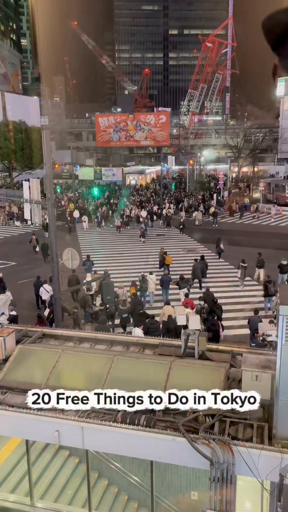 Popular Free Attractions in Tokyo