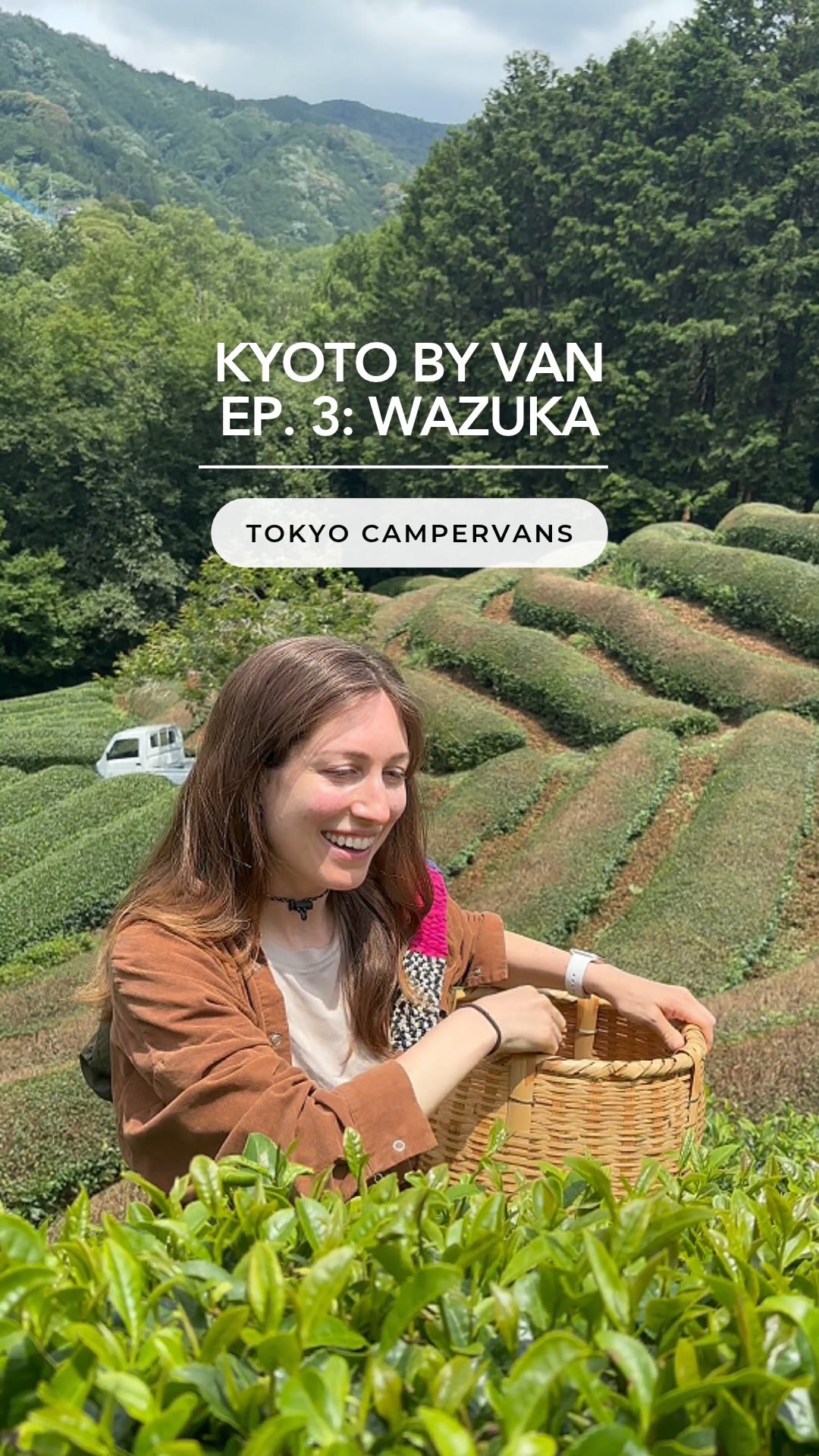 Kyoto Tea Towns: Wazuka and Obubu Tea Farms