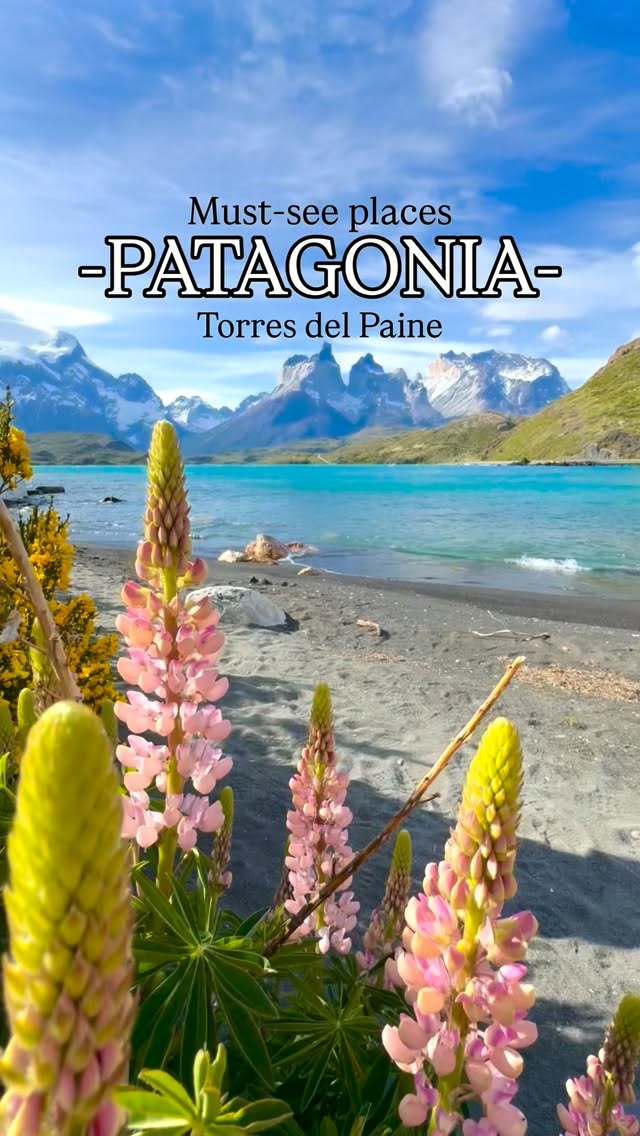 Patagonia's Stunning National Park Landscapes
