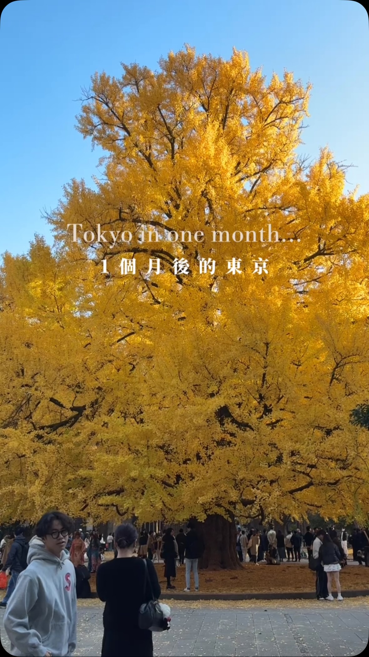 Six Tokyo Area Spots For Autumn Foliage Viewing