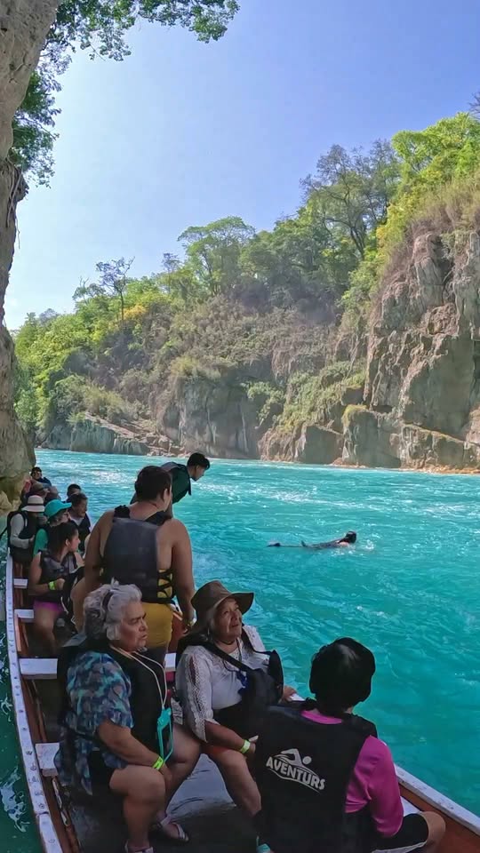 Swimming Across Currents In Huasteca Potosina