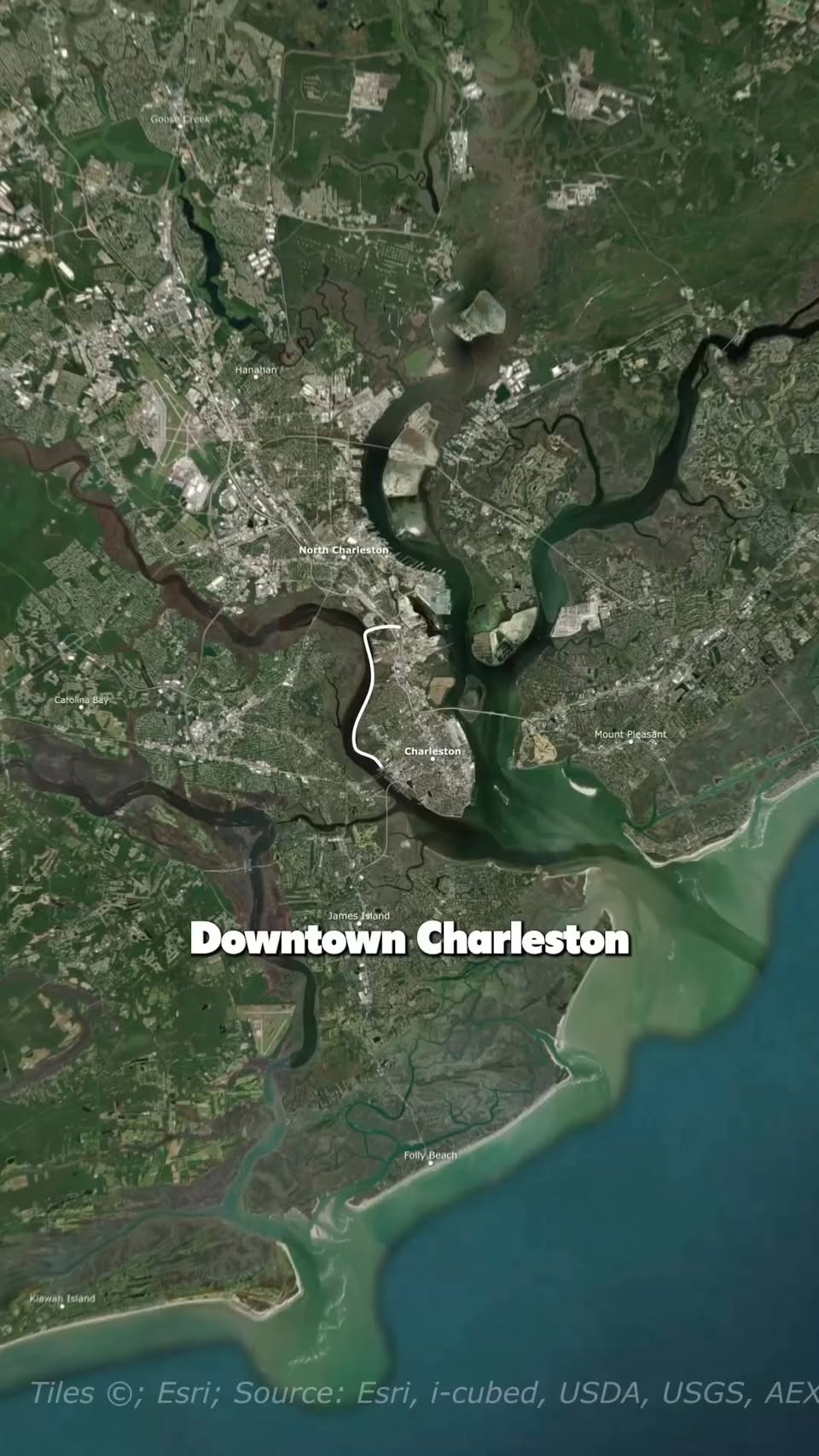 Explore Charleston's Diverse Neighborhoods and Landmarks