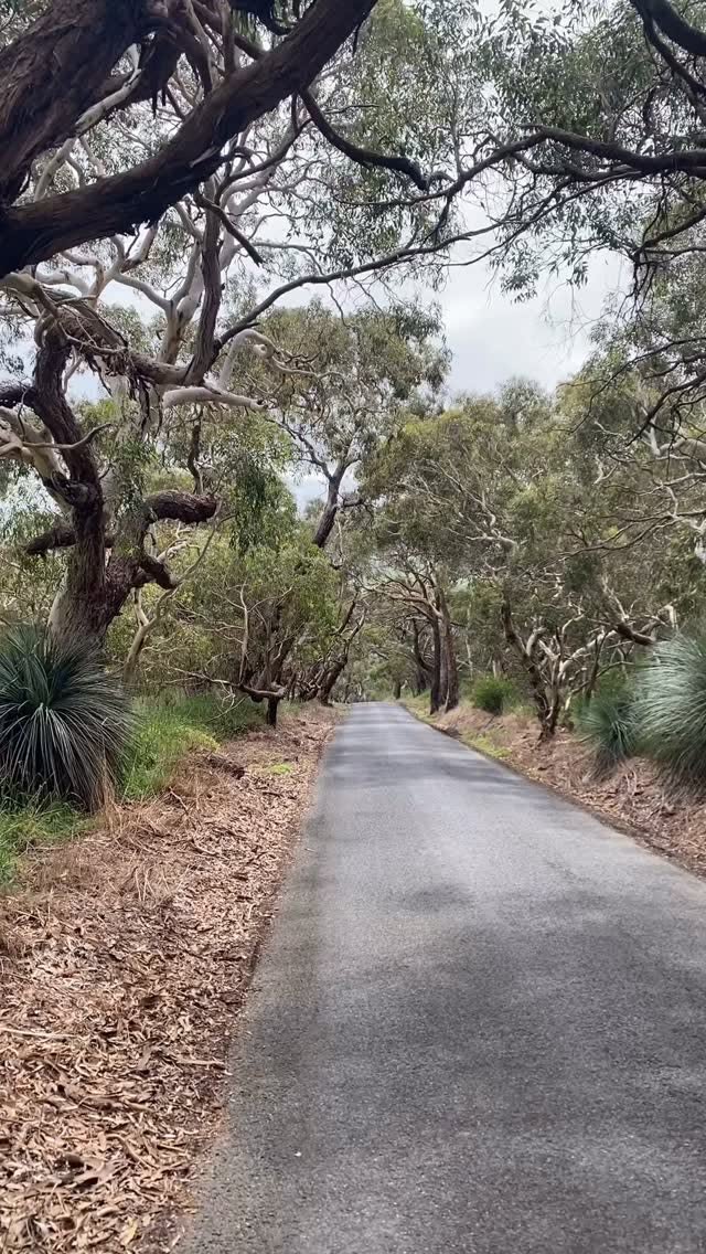 Coastal Drive to Ingalalla Falls and Rapid Bay