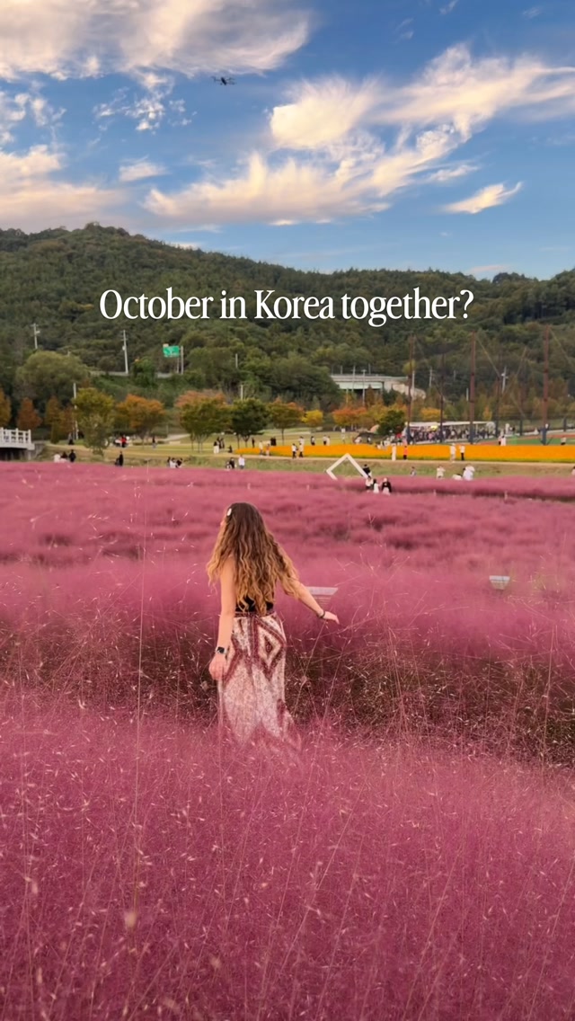 Hapcheon Sports Park's Pink Muhly Grass Fields