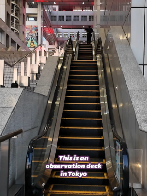 Tokyo's Observation Decks and Skyline Views