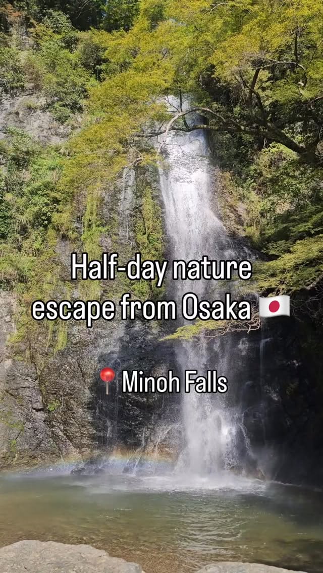 Nature Escape From Osaka: Waterfalls and Temples