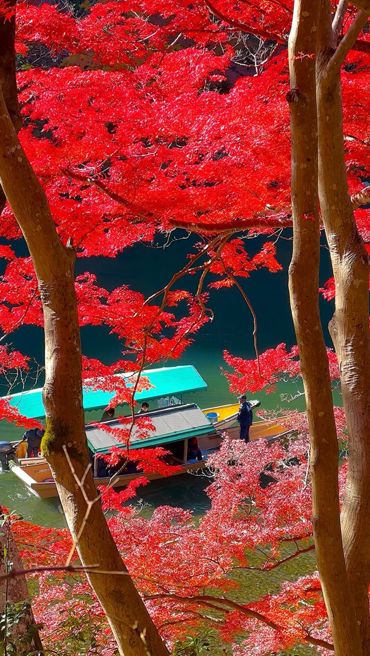 Kyoto's Top 7 Autumn Foliage Destinations
