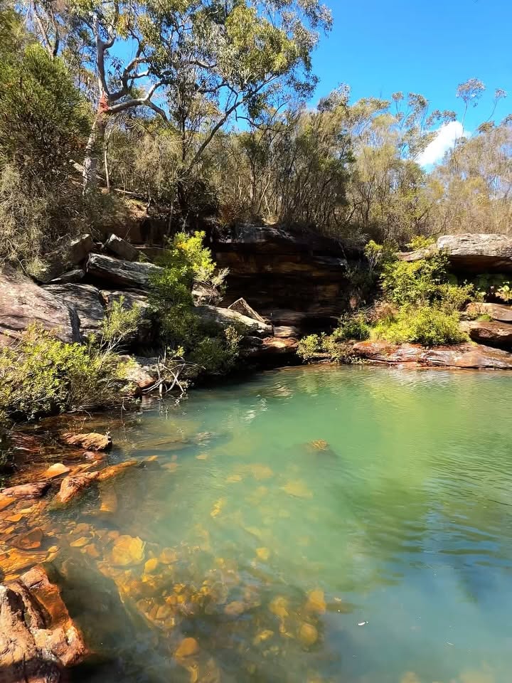 Nellies Glen Road: A Scenic Waterfall and Swimming Hole