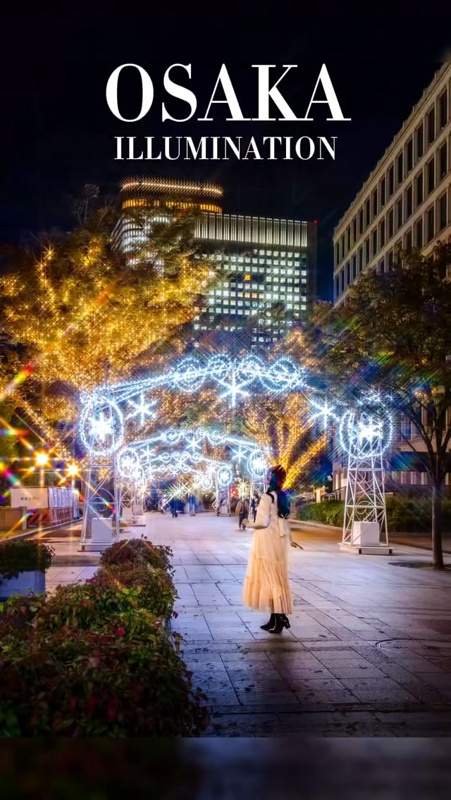 Osaka Winter Illuminations Across Nakanoshima