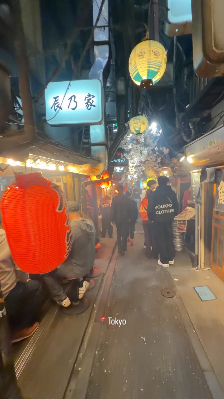 Tokyo's Vibrant Night Alleys