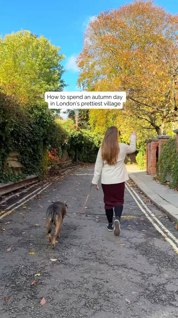 Autumn Day Out in Hampstead London