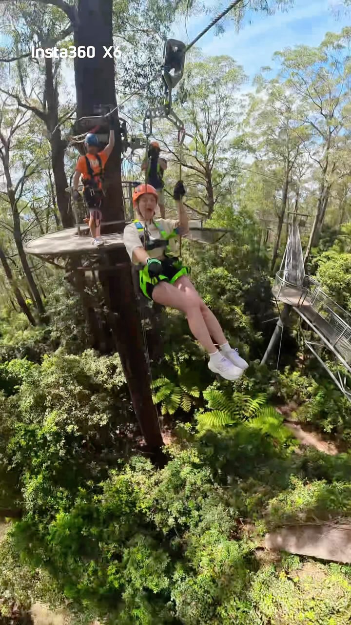 Illawarra Rainforest Adventures and Nearby Natural Wonders