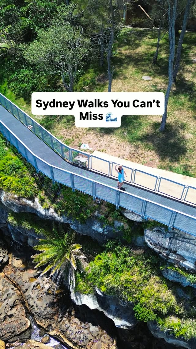 Sydney Coastal And Bushland Walking Trails