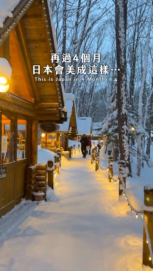 Winter Wonderland At Ningle Terrace