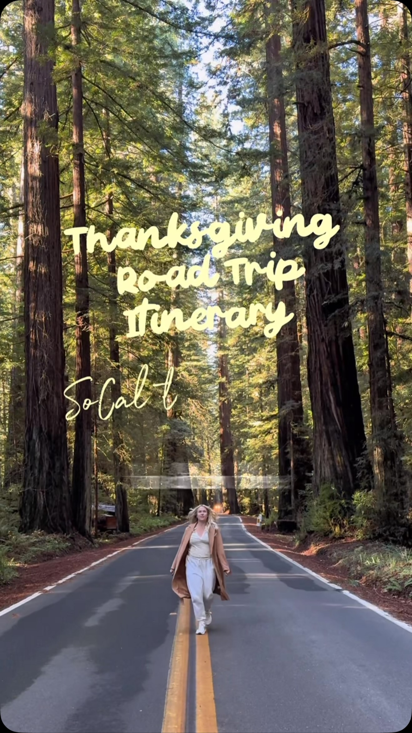 California Coastal Road Trip to the Redwoods