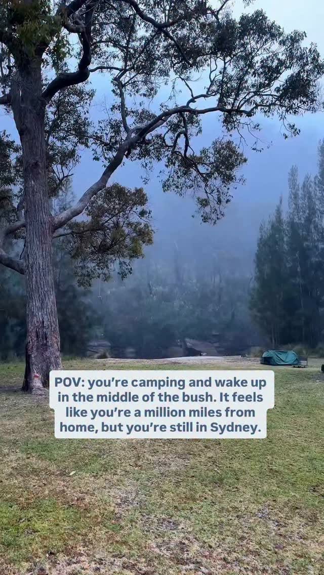 Sydney Bushland Camping Near Berowra Valley