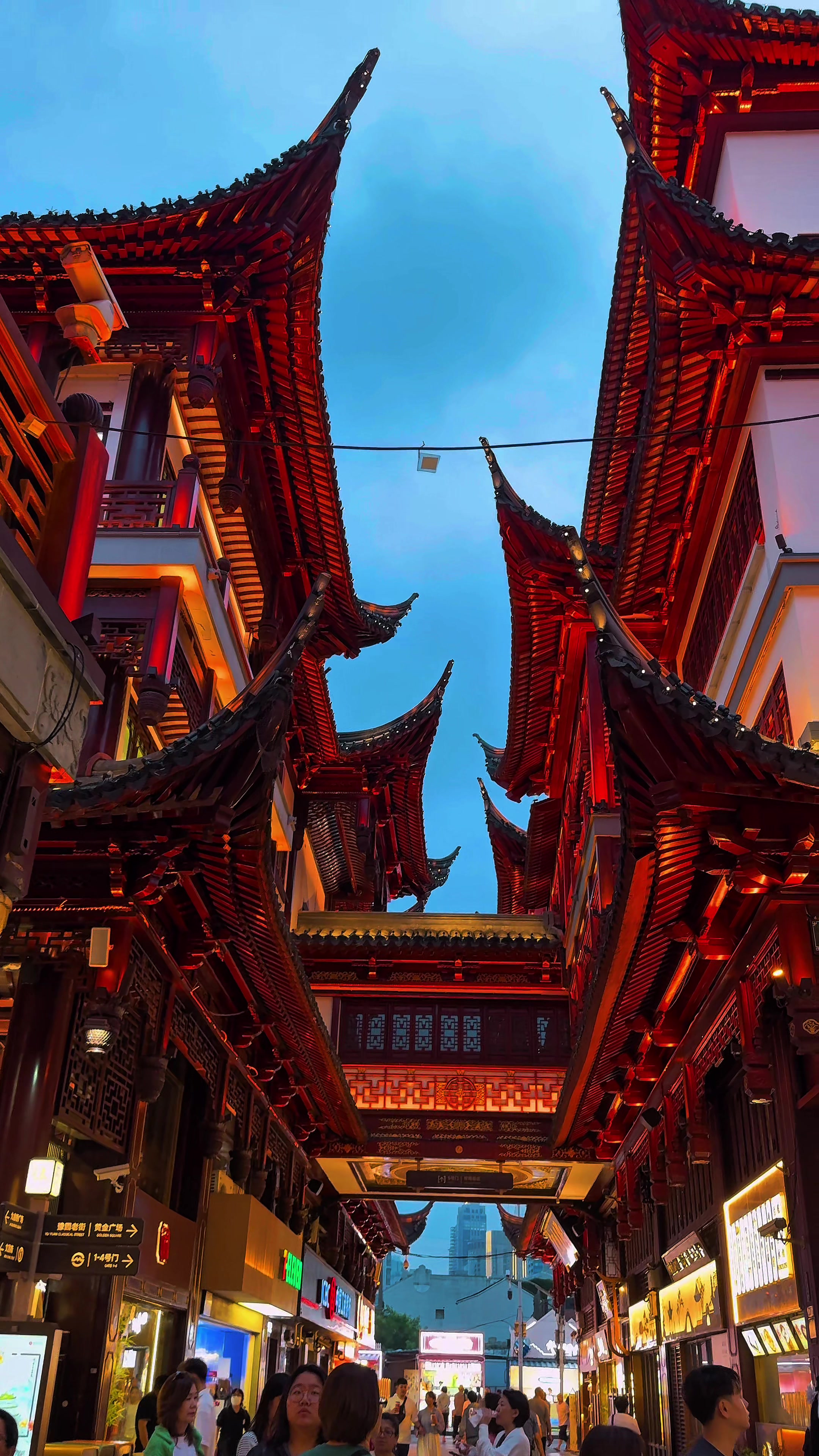 Chinese Gardens and Illuminated Streets