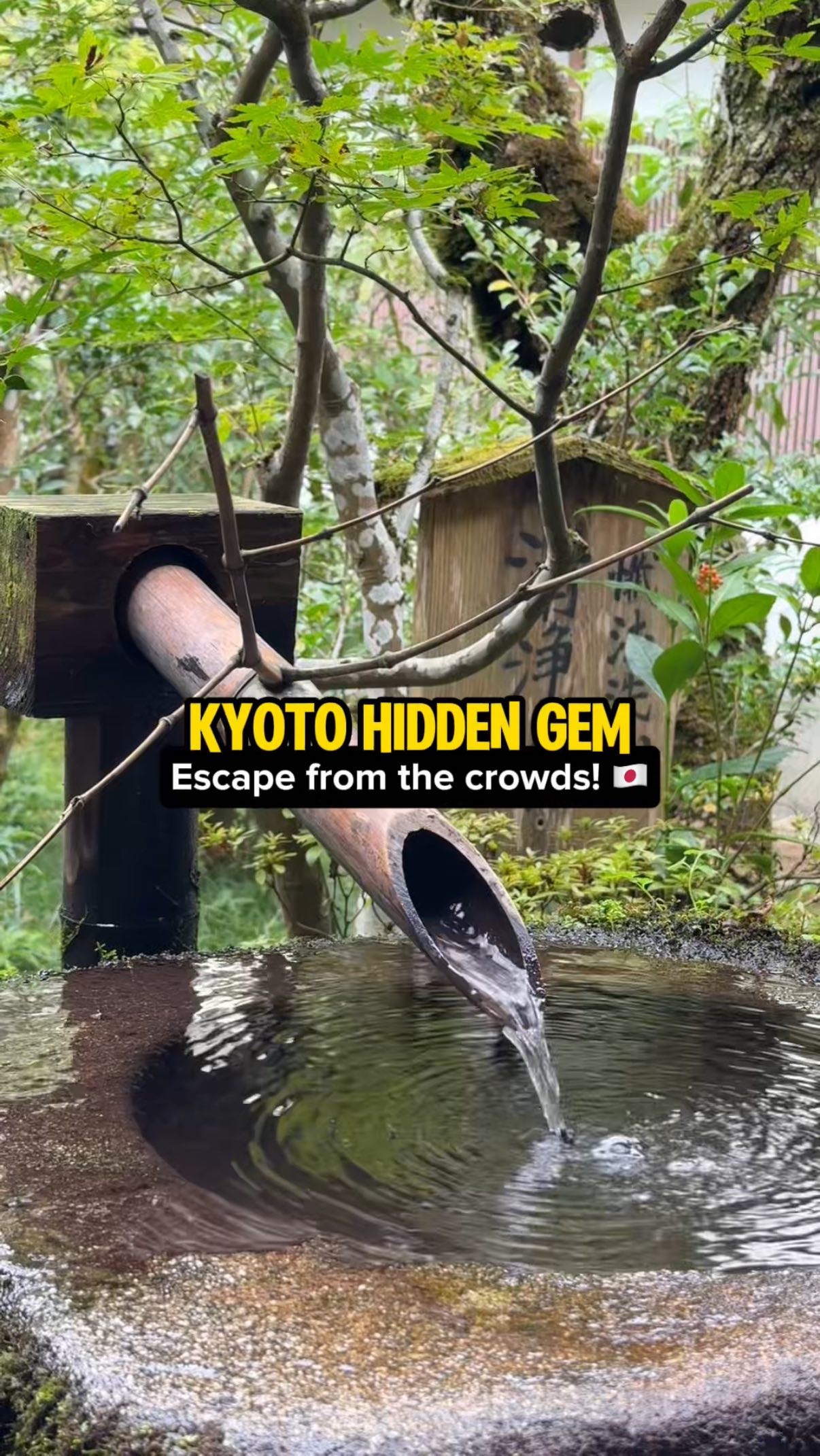 Kyoto's Peaceful Sanzen-in Temple and Hidden Cafe