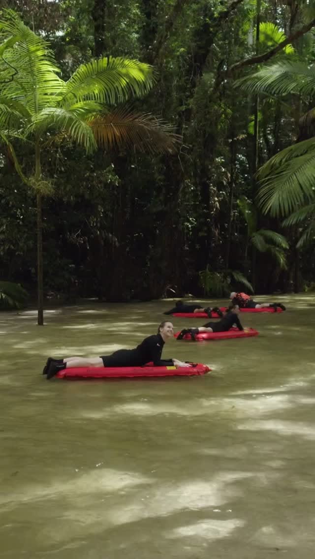 Daintree Rainforest River Drift Snorkeling