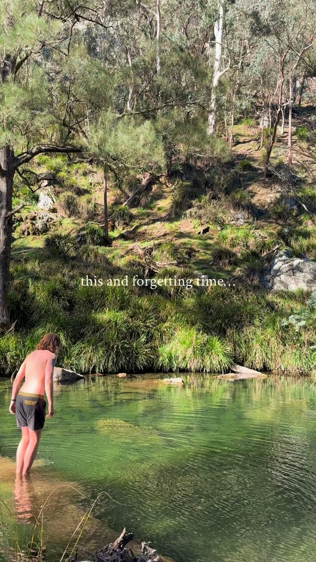 Turon River: A Dog-Friendly Escape Near Sydney
