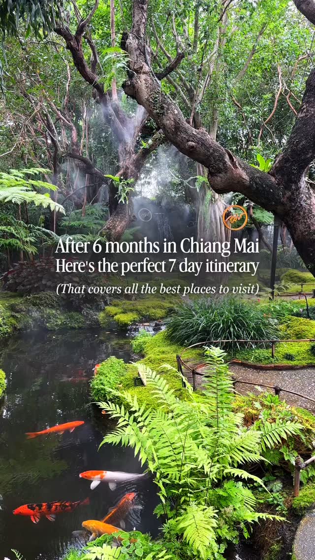 Chiang Mai's Best Spots for a Seven-Day Trip