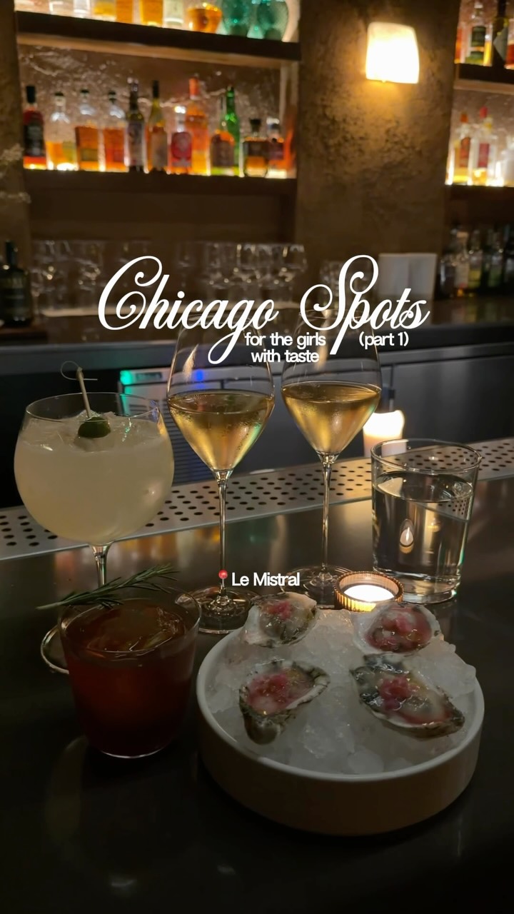 Chicago's Diverse Hotspots: Dining, Shopping, and Relaxation