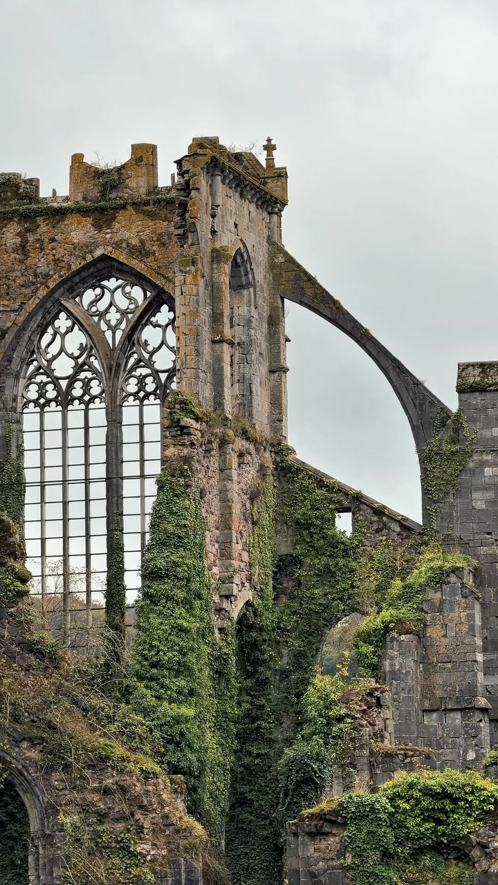 Autumn Views of Aulne Abbey Ruins