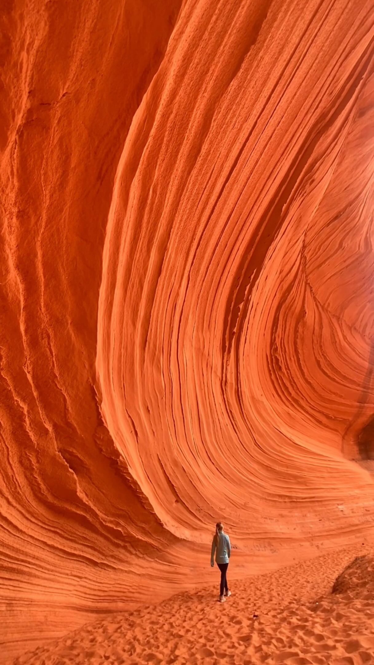 USA's Diverse Natural Wonders For Your Next Road Trip