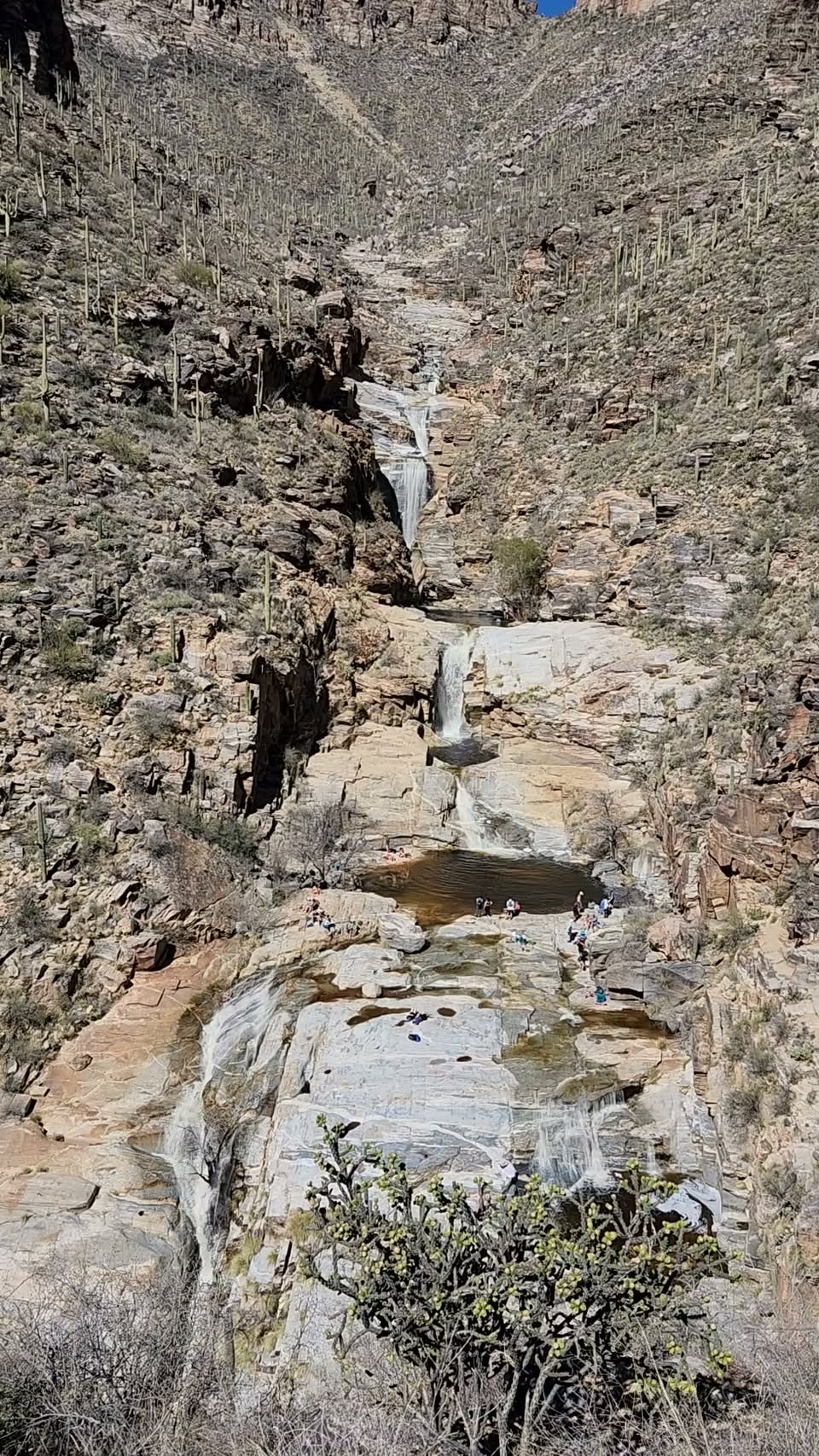 Arizona's Waterfalls and National Forest Trails