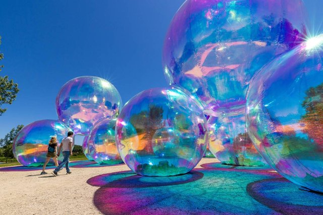 Bubble Art Installation At Chicago Botanic Garden
