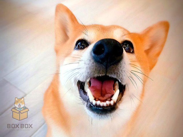 33 Places in Chang Wat Chiang Mai
