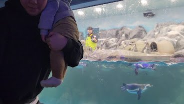 Seoul's Lotte World Tower And Attractions