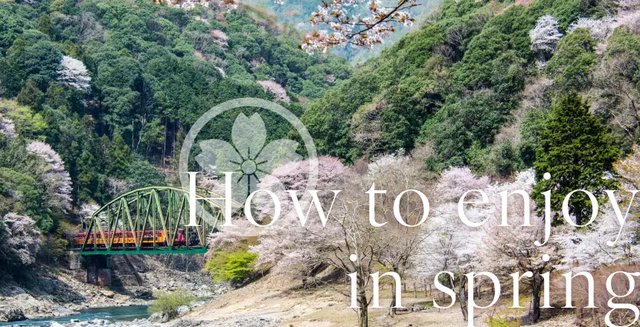 Arashiyama River Boat Ride And Scenic Station