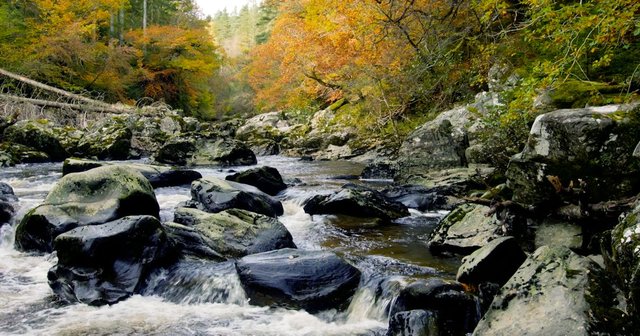 The Hermitage: Waterfalls, Forests, and Follies