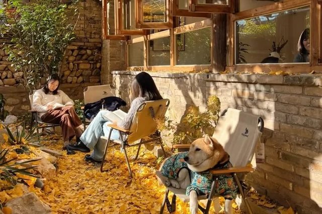 Beijing's Hutong Cafes Blend Coffee and History