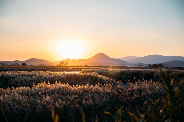 Suncheon's Top Attractions, Villages, and Temples