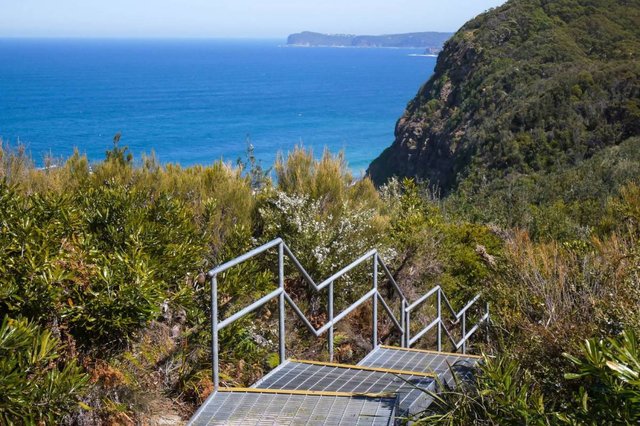 Coastal Trail Views Whale Watching Wildflowers