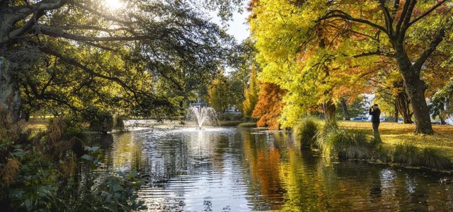 Queenstown Gardens Walking Trail