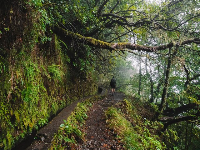 Madeira's Waterfalls and Lush Levada Hikes