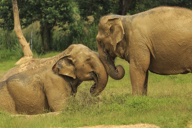 4 Attractions in Thailand