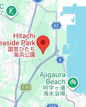 Hitachi Seaside Park and Tokyo Attractions