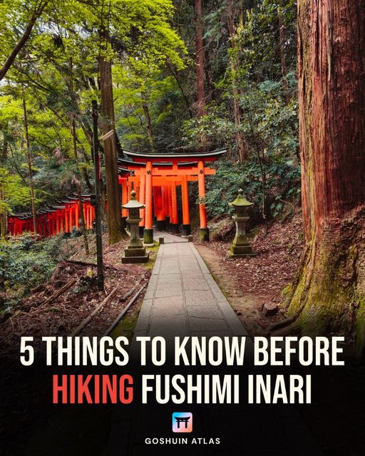 Fushimi Inari Shrine's Torii Gate Trails