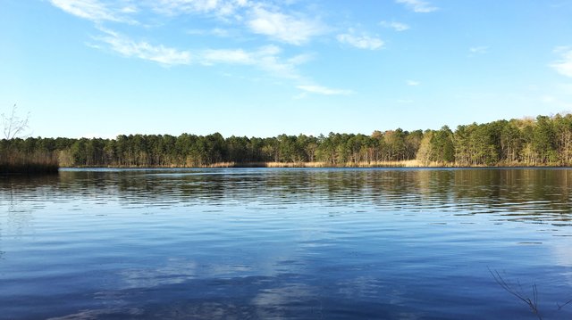 New Jersey State Forest And Pinelands With Lake Fun