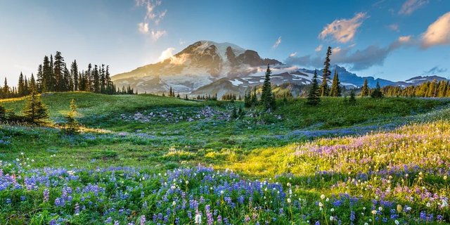 44 Attractions in United States