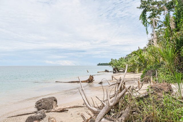 Caribbean Costa Rica: Wildlife, Beaches, and Culture