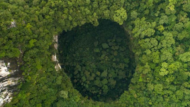 Massive Caves With Underground Forests
