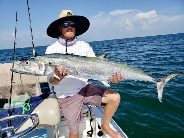 Bonita Springs Activities: Kayaking, Dining, and Ghost Tours