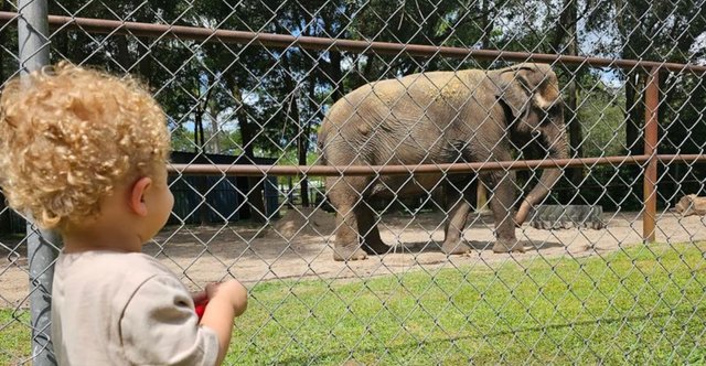 Florida Animal Sanctuaries Offer Hands-On Experiences